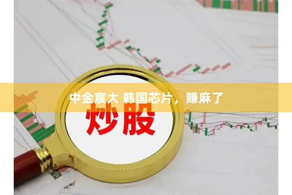 中金宸大 韩国芯片，赚麻了