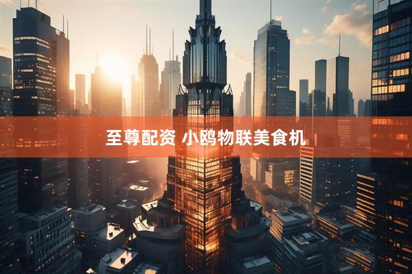 至尊配资 小鸥物联美食机