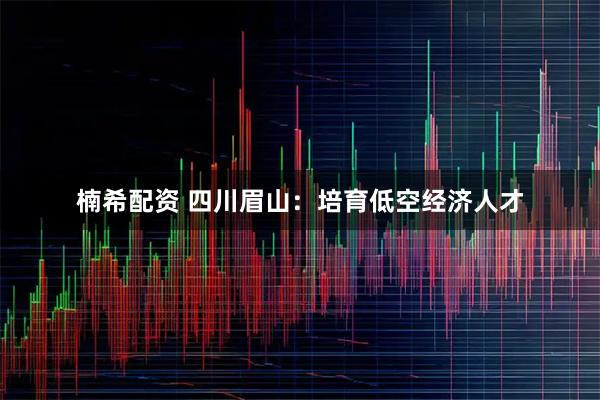 楠希配资 四川眉山：培育低空经济人才