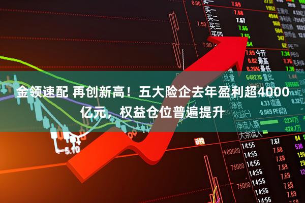 金领速配 再创新高！五大险企去年盈利超4000亿元，权益仓位普遍提升