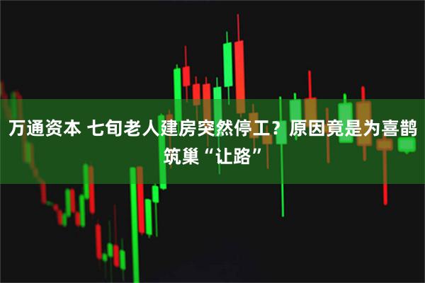 万通资本 七旬老人建房突然停工？原因竟是为喜鹊筑巢“让路”