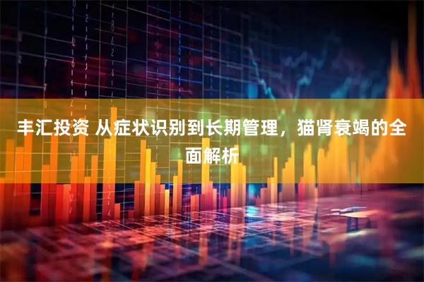 丰汇投资 从症状识别到长期管理，猫肾衰竭的全面解析