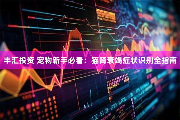 丰汇投资 宠物新手必看：猫肾衰竭症状识别全指南
