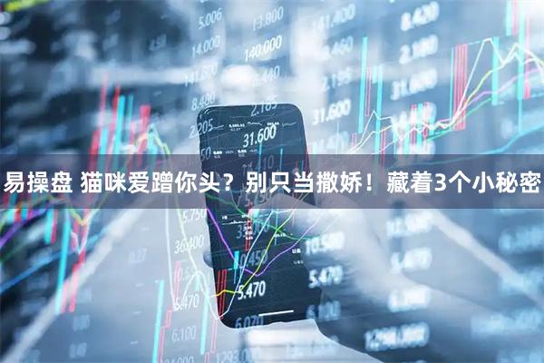 易操盘 猫咪爱蹭你头？别只当撒娇！藏着3个小秘密