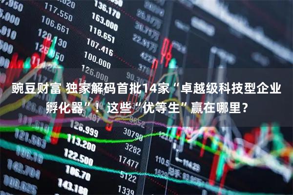 豌豆财富 独家解码首批14家“卓越级科技型企业孵化器”！这些“优等生”赢在哪里？